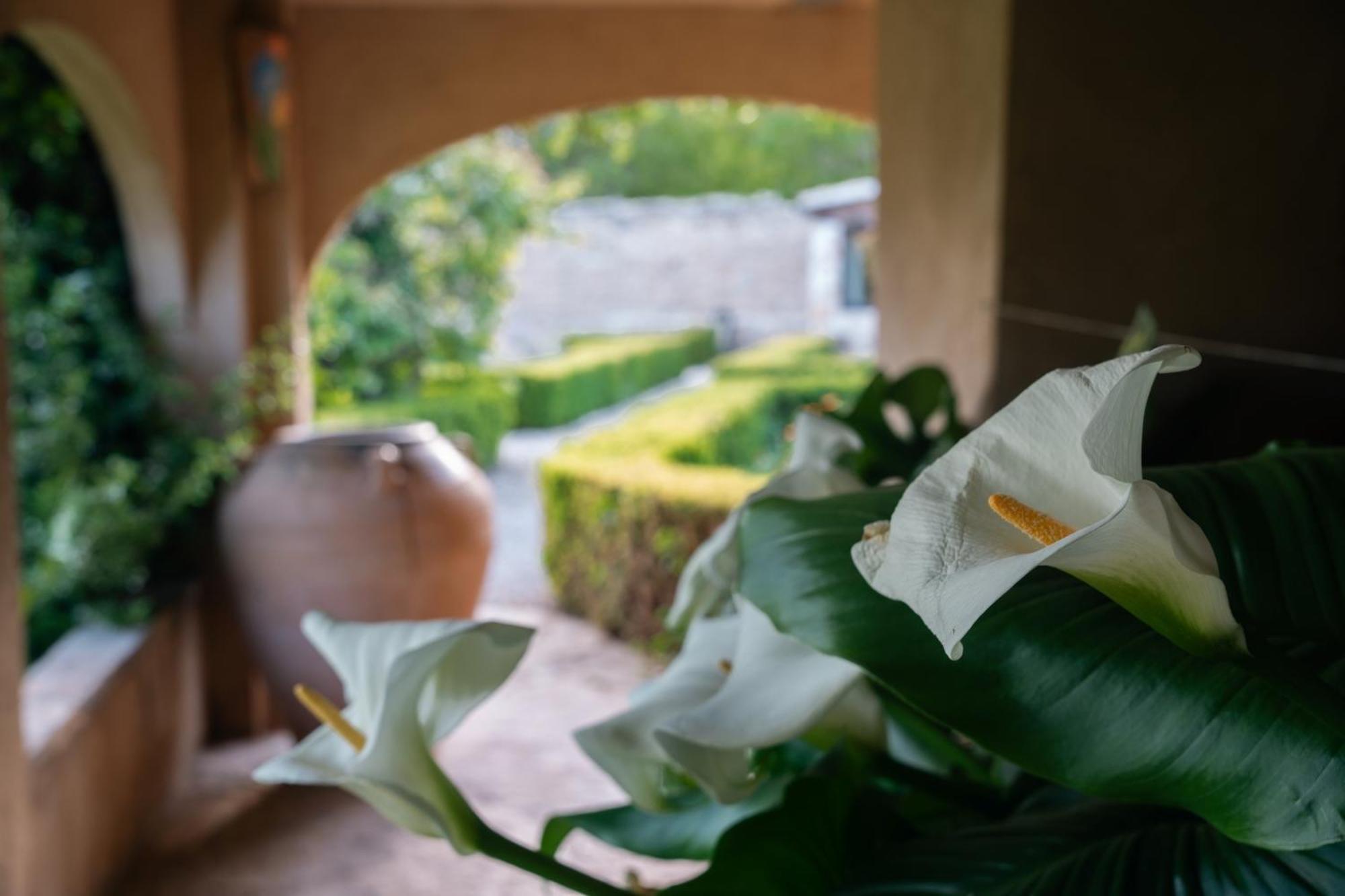 Hotel Hort De Fortunyo Арнес Екстер'єр фото